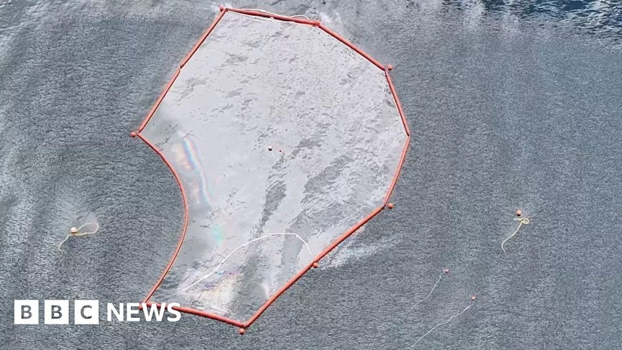 All fuel removed from sunken fish farm ship, says coastguard