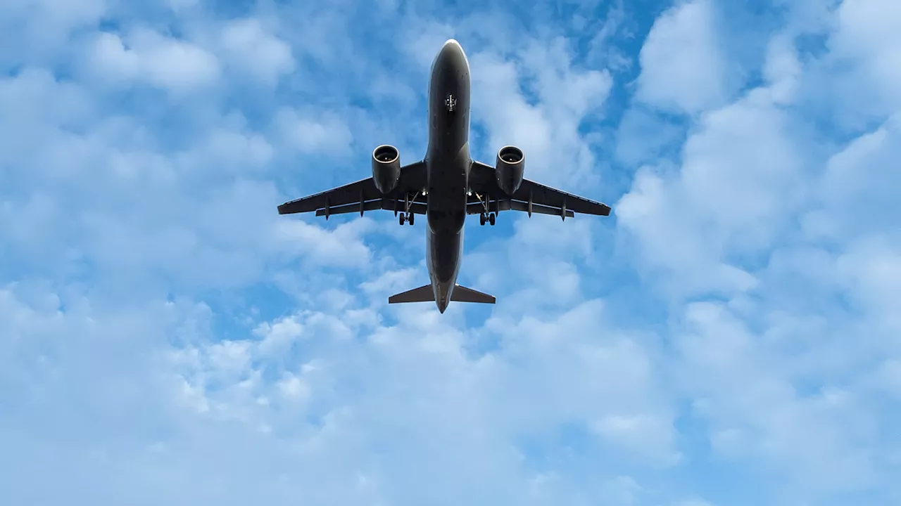 Allemagne: trafic suspendu à l'aéroport de Francfort après l'intrusion de militants écologistes