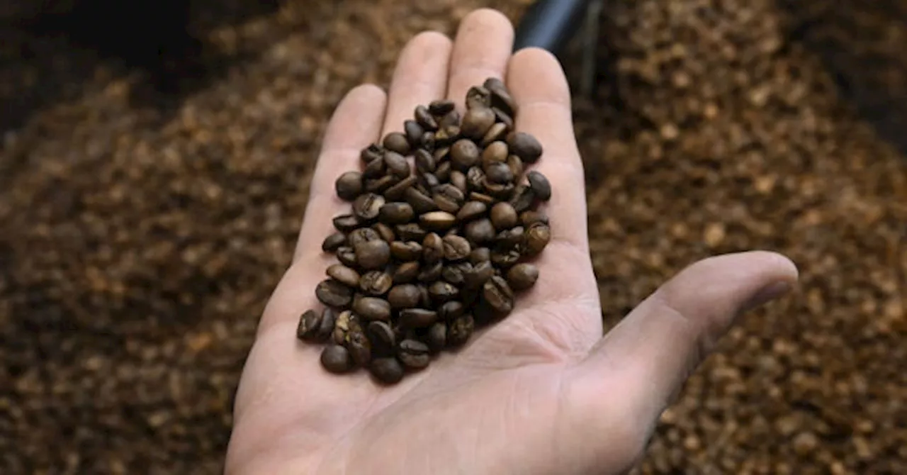 Report: Coffee Prices Continue to Rise as Weather Impacts Supply Chain