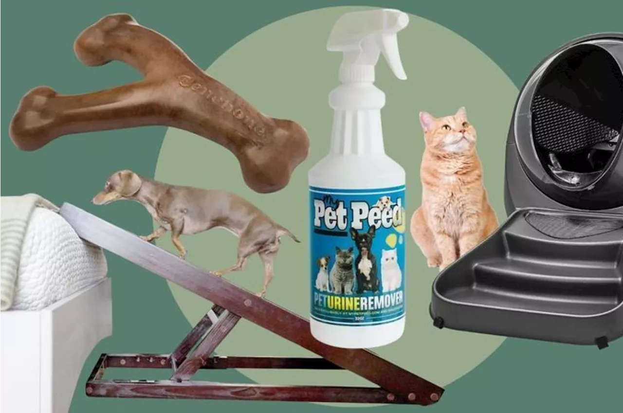 Pet Owners Reveal The Most Problem-Solving Thing They've Ever Purchased