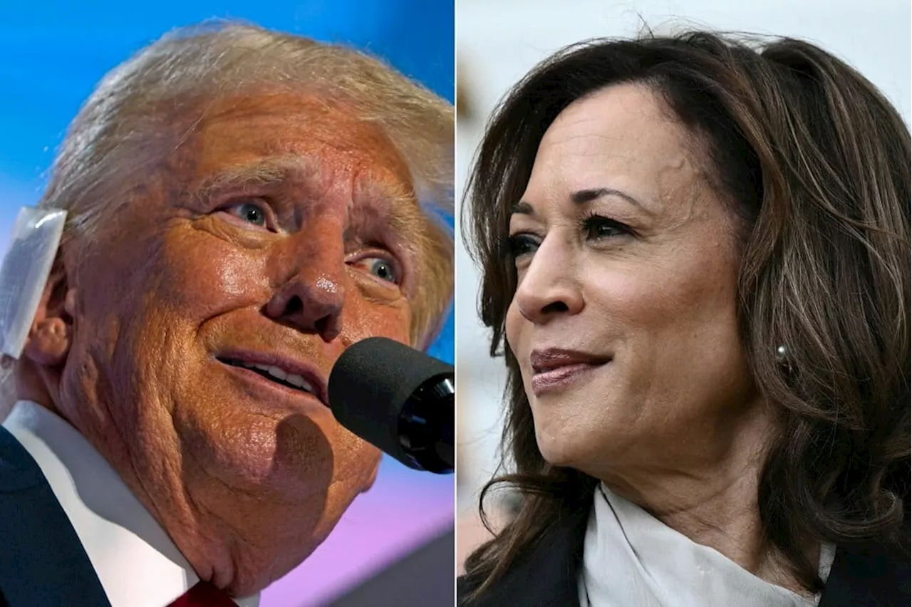 Kamala reduz distância para Trump em nova pesquisa do NY Times; confira os números