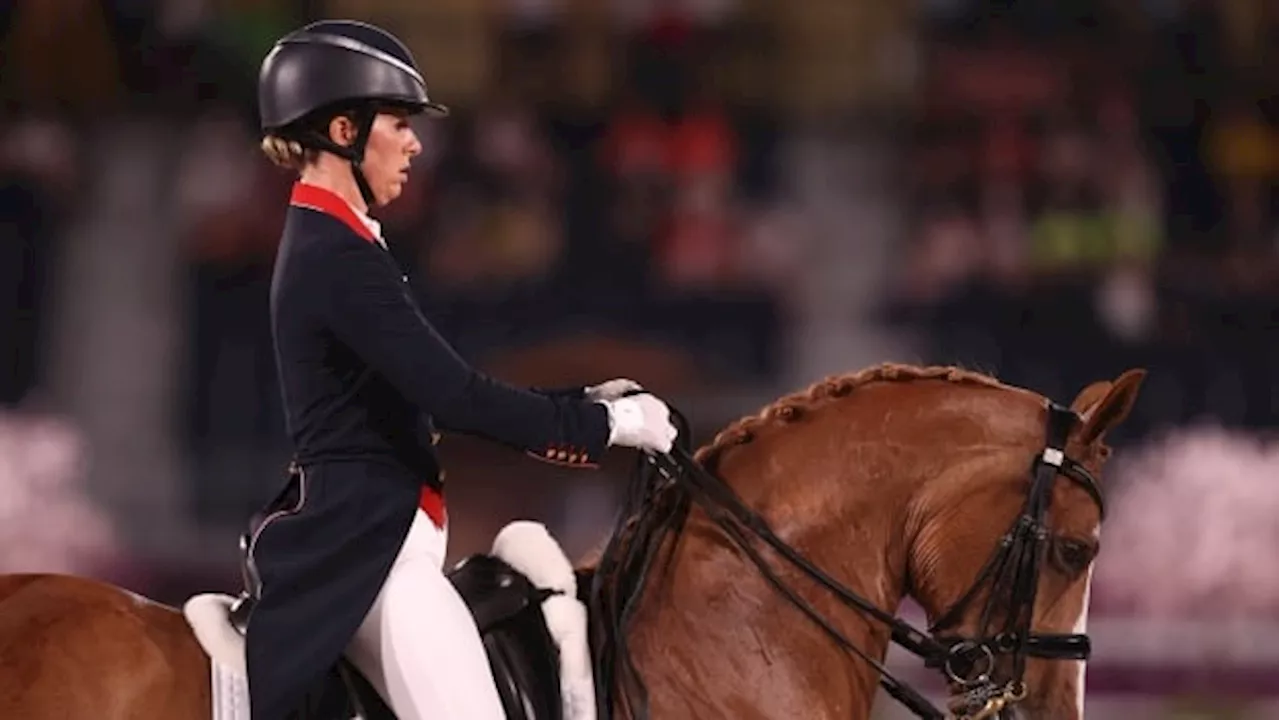 Equestrian federation spells out horse welfare reforms in wake of horse-whipping video