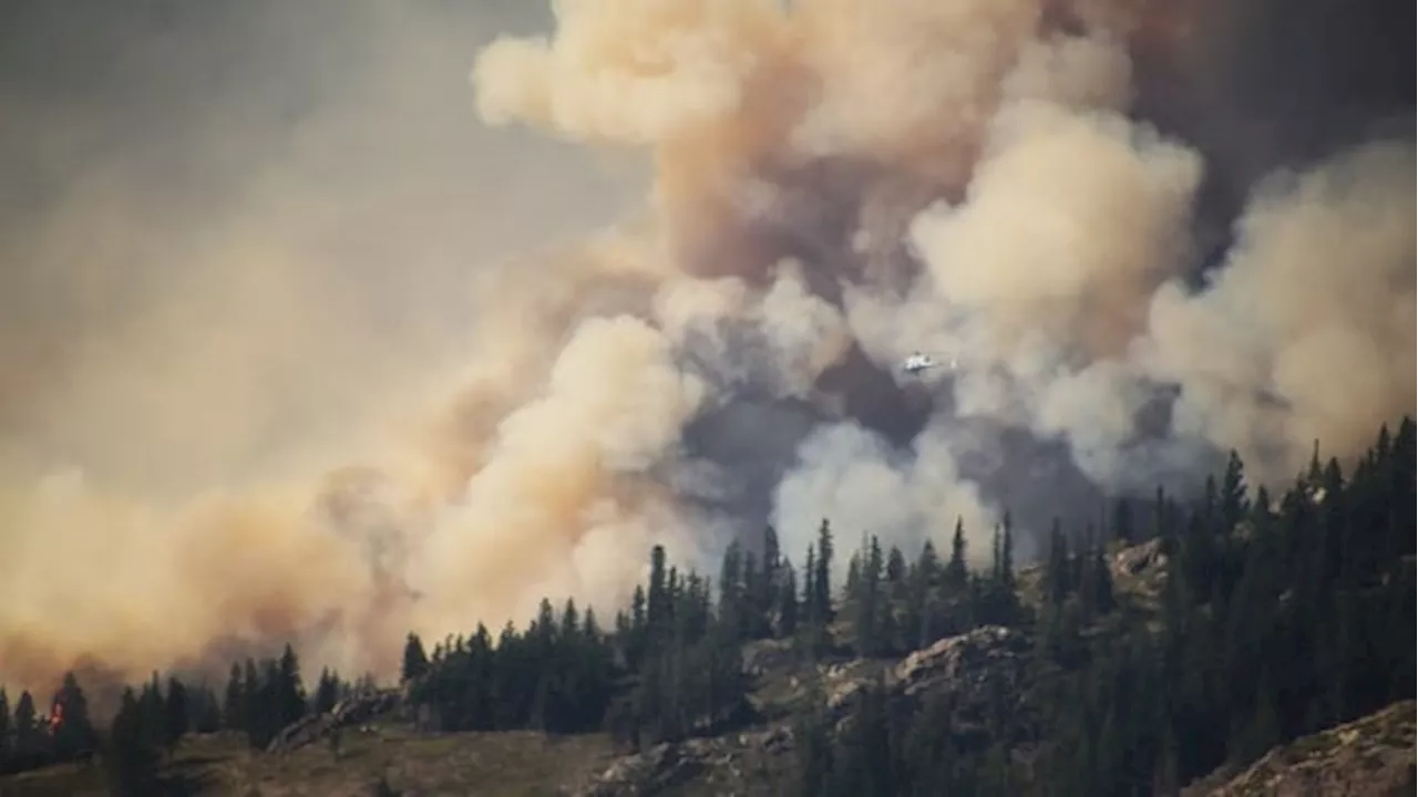 Bow Valley preparing for intense fire activity as region sees extreme fire danger