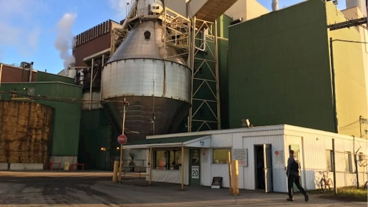 Thurso's pulp mill sees new project after 5 years empty