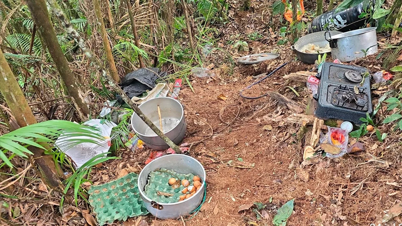 Por orden del Gobierno se realizaron bombardeos en campamentos de disidencias en el Cauca