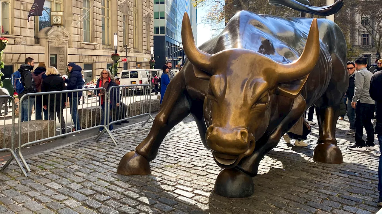 We're in a 'buffalo' market, Bank of America says. Here's what that means for investors