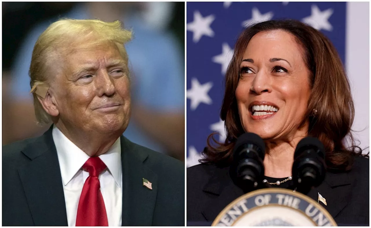 Donald Trump y Kamala Harris están prácticamente empatados, según encuesta del New York Times