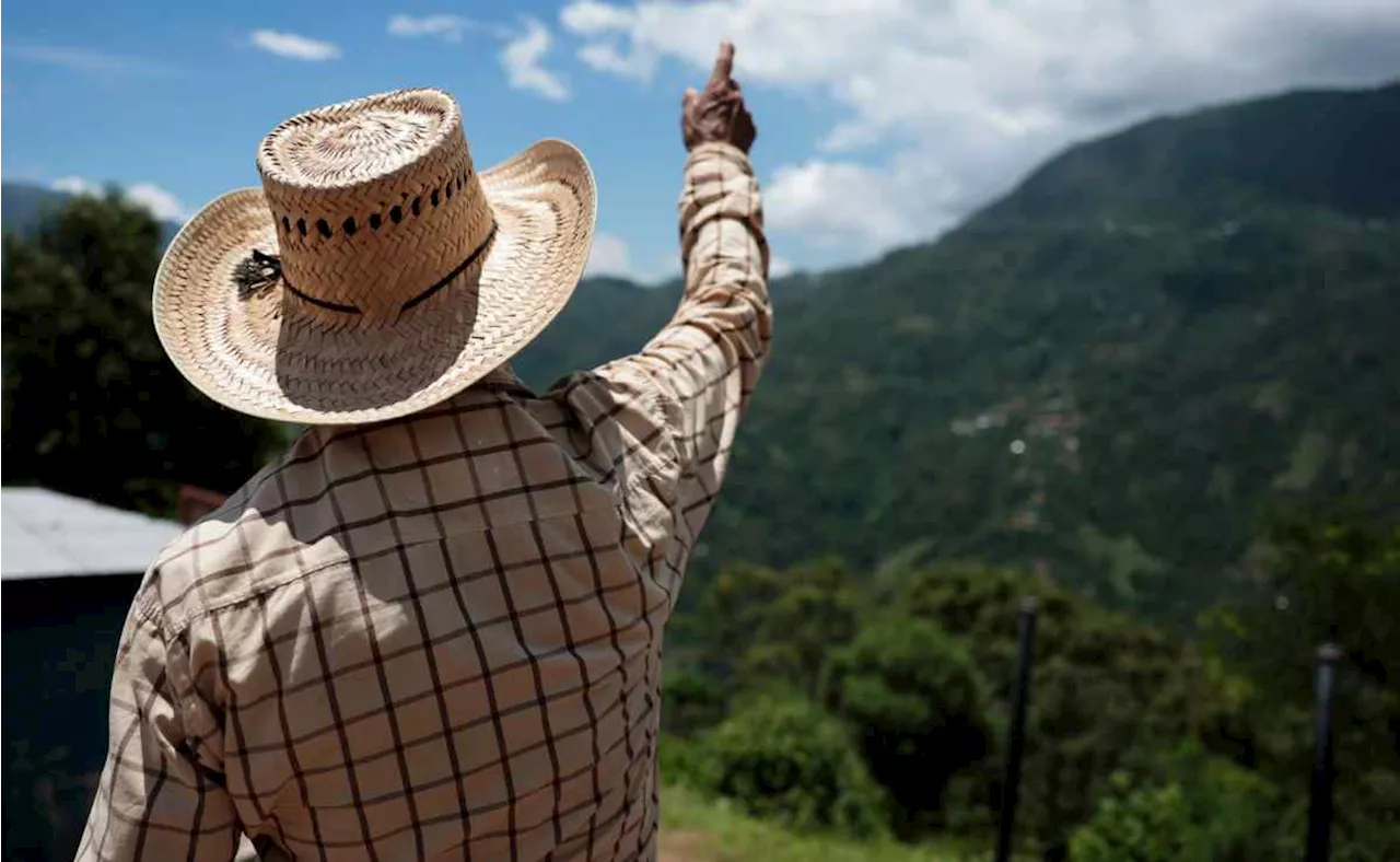 'Situación en Sierra y frontera de Chiapas es desesperante debido a grupos criminales': Diócesis de Tapachula