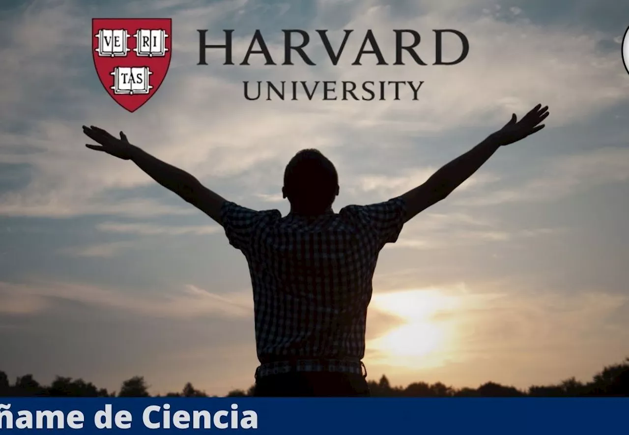 Según Harvard, estas 2 preguntas confirman si has encontrado el sentido de tu vida