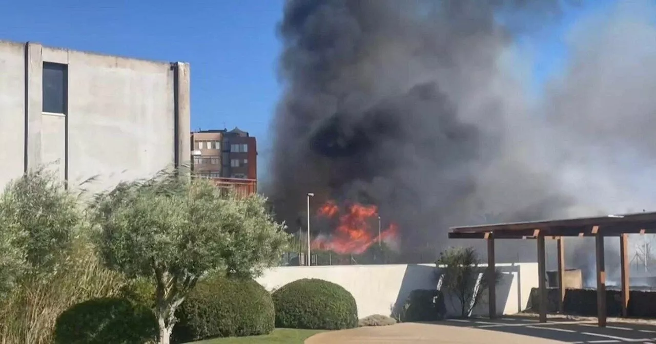 Sicilia e Sardegna sotto assedio delle fiamme, continua l’allarme incendi su tutta la Penisola