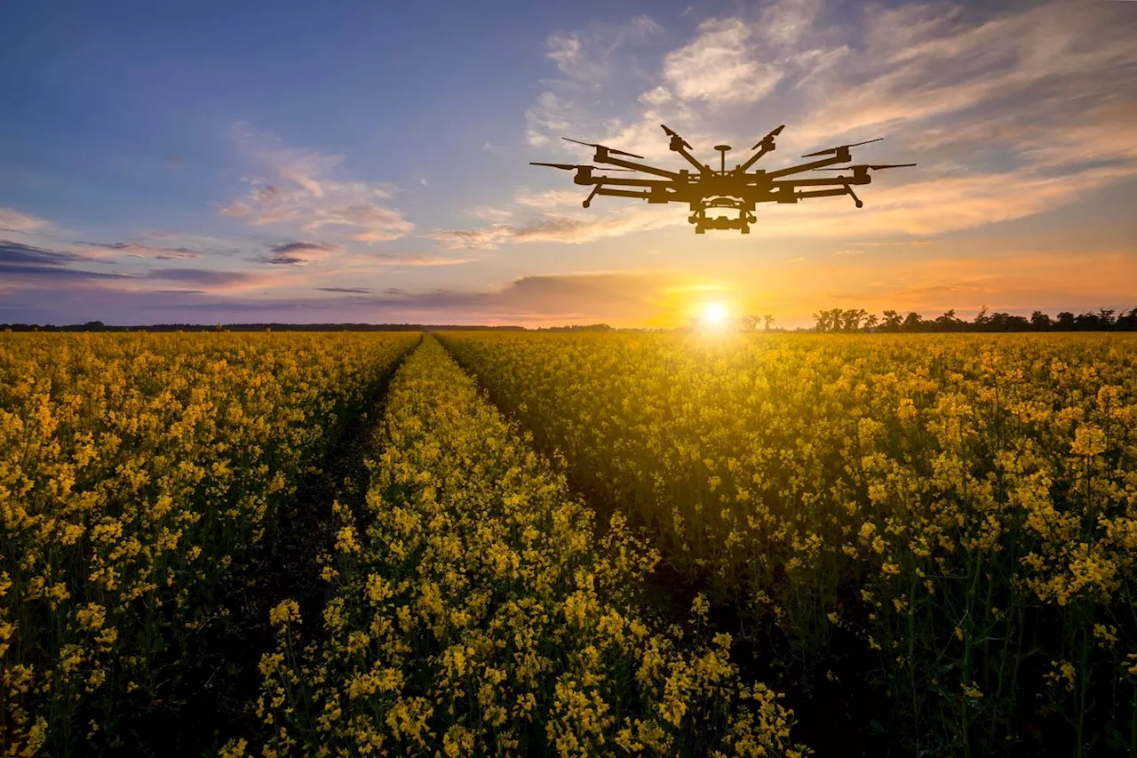 AI Applications In Farming: How Technology Can Help Solve Hunger