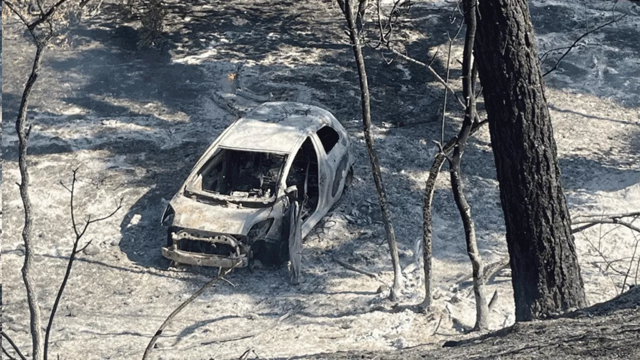 California man arrested after allegedly pushing torched car down embankment, sparking massive fire