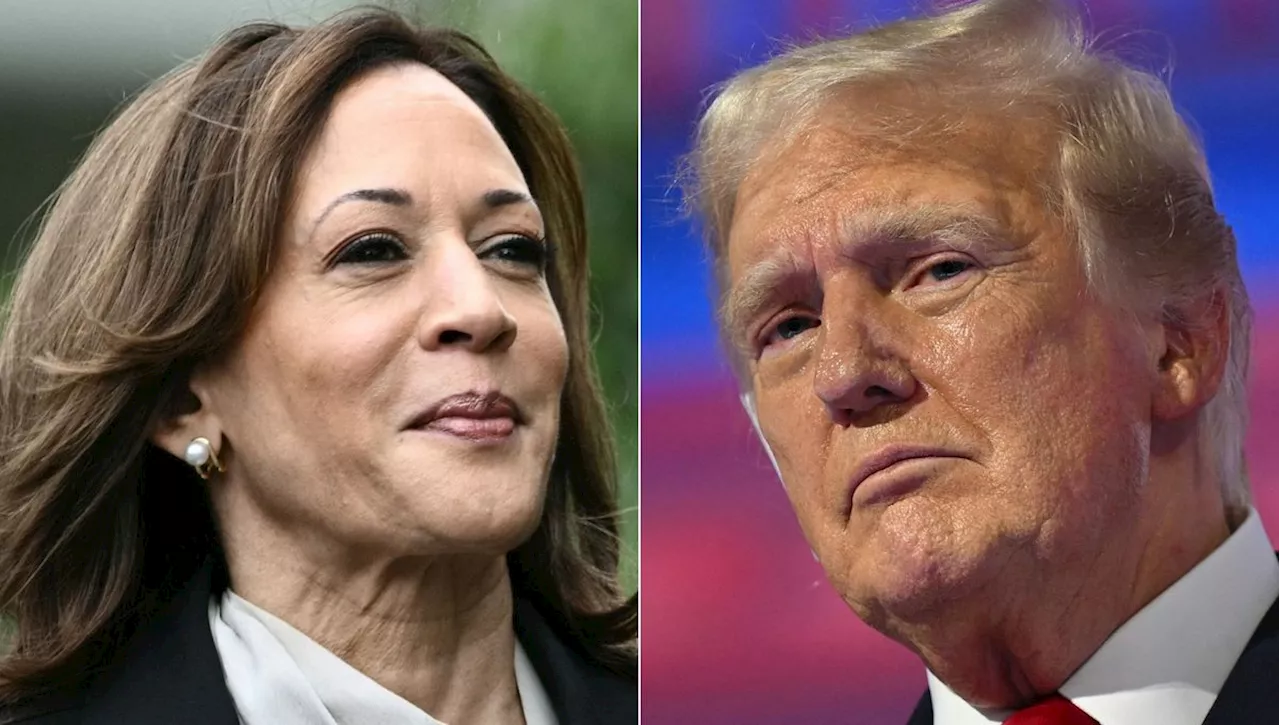 Kamala Harris est-elle la meilleure candidate face à Donald Trump ?