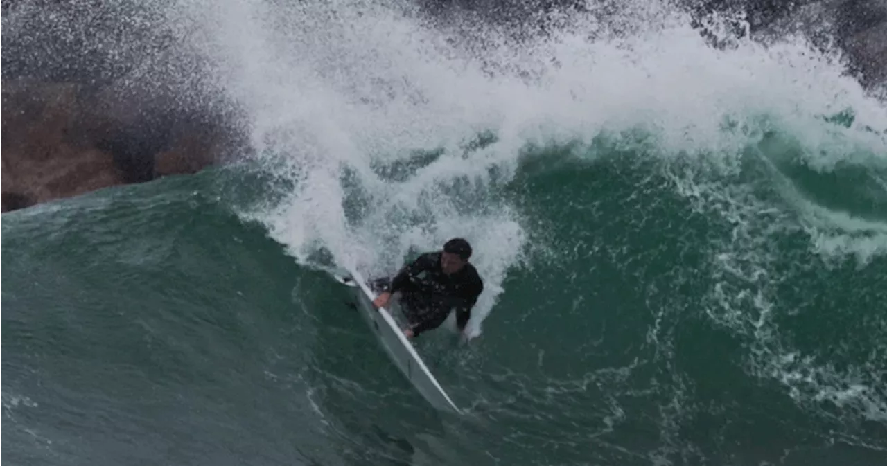 Surfer’s severed leg washes ashore after shark attack. Docs hope to reattach it