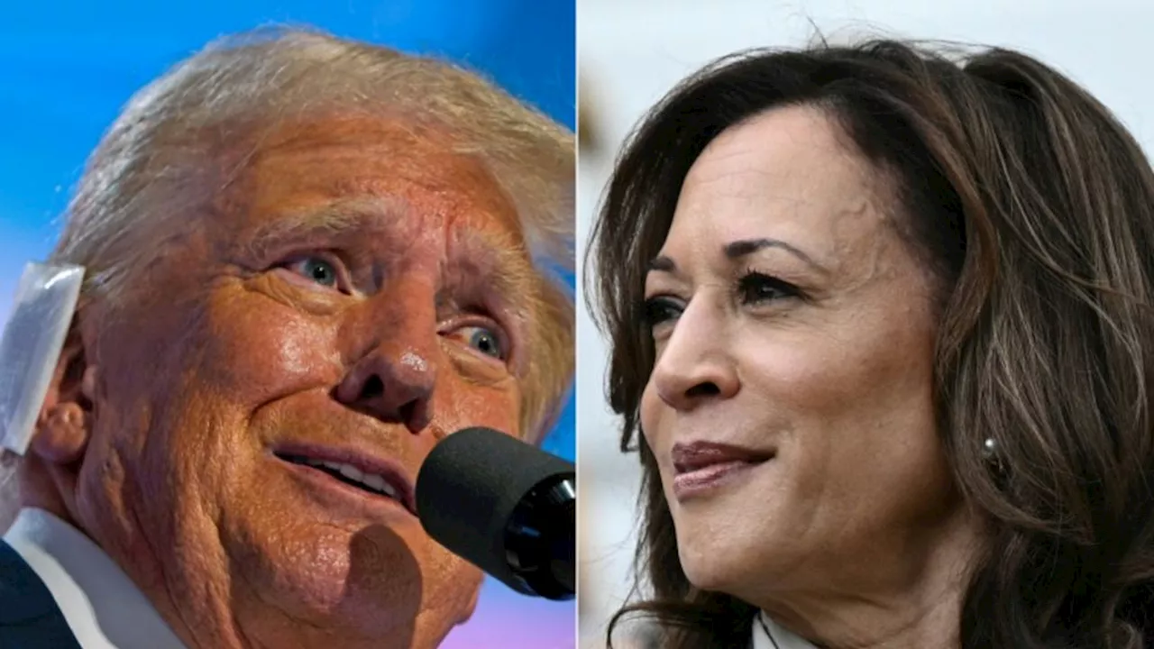 Menghina dan Menyerang Pribadi Kamala Harris, Donald Trump Masih Seperti Dulu