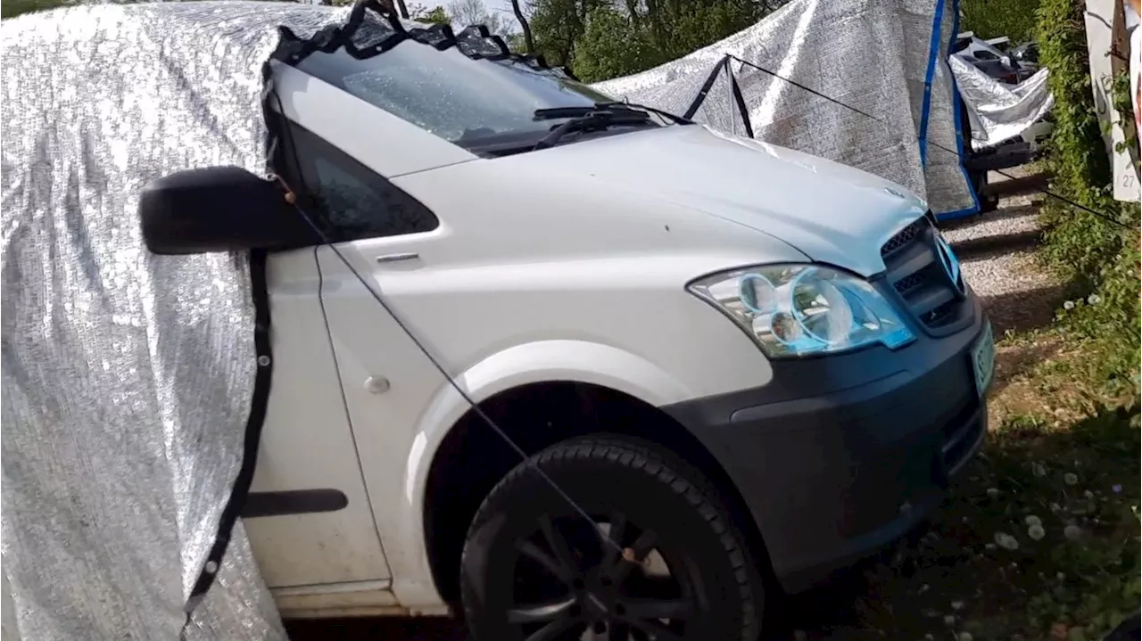 Tierschützer erstatten Anzeige - 'Qualvoller Todeskampf': Fotos zeigen heiße Hunde-Autos