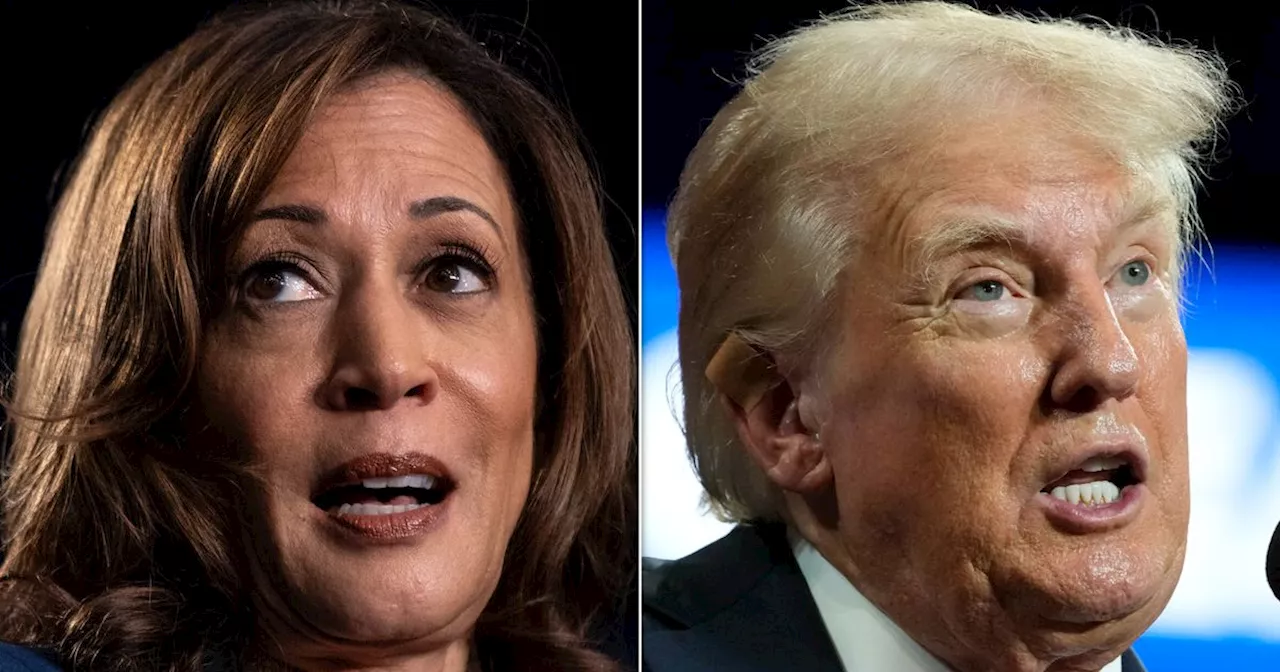 Critics Flag 1 Huge Flaw In Trump’s Claim About Kamala Harris And Jewish People