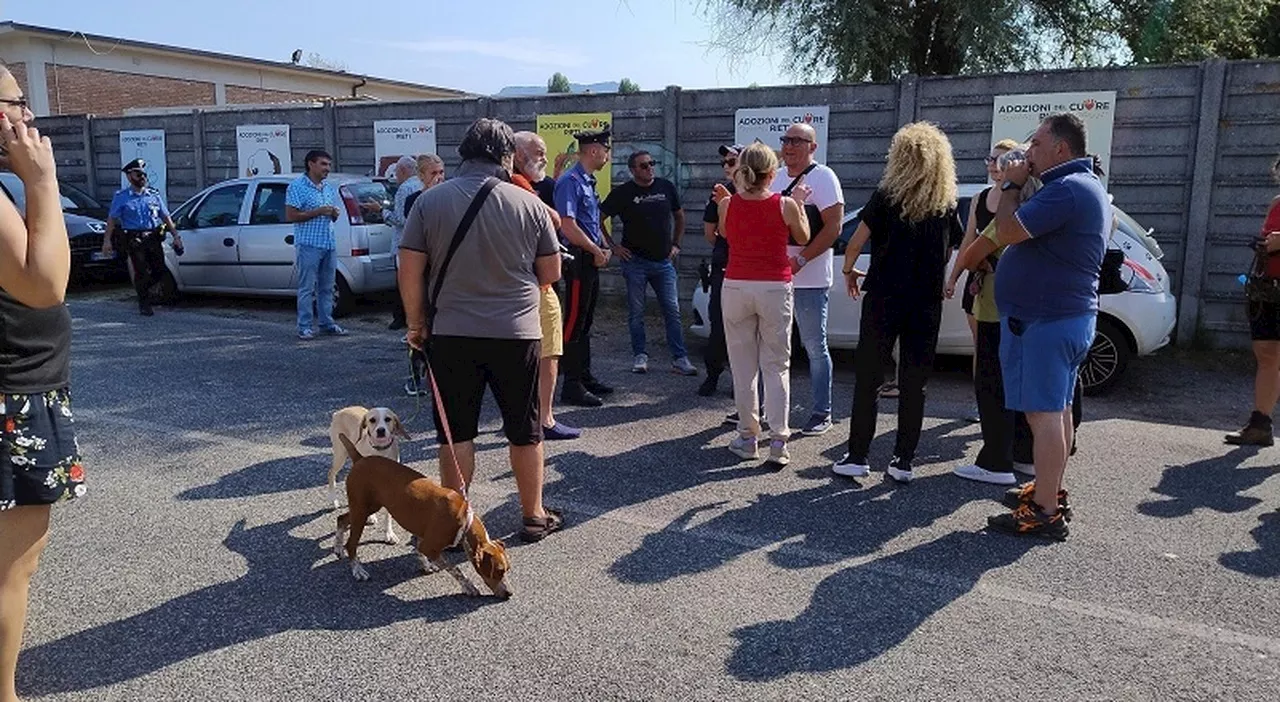 Animali da trasferire al canile di Soriano, il “no” dei volontari: bloccato il viaggio