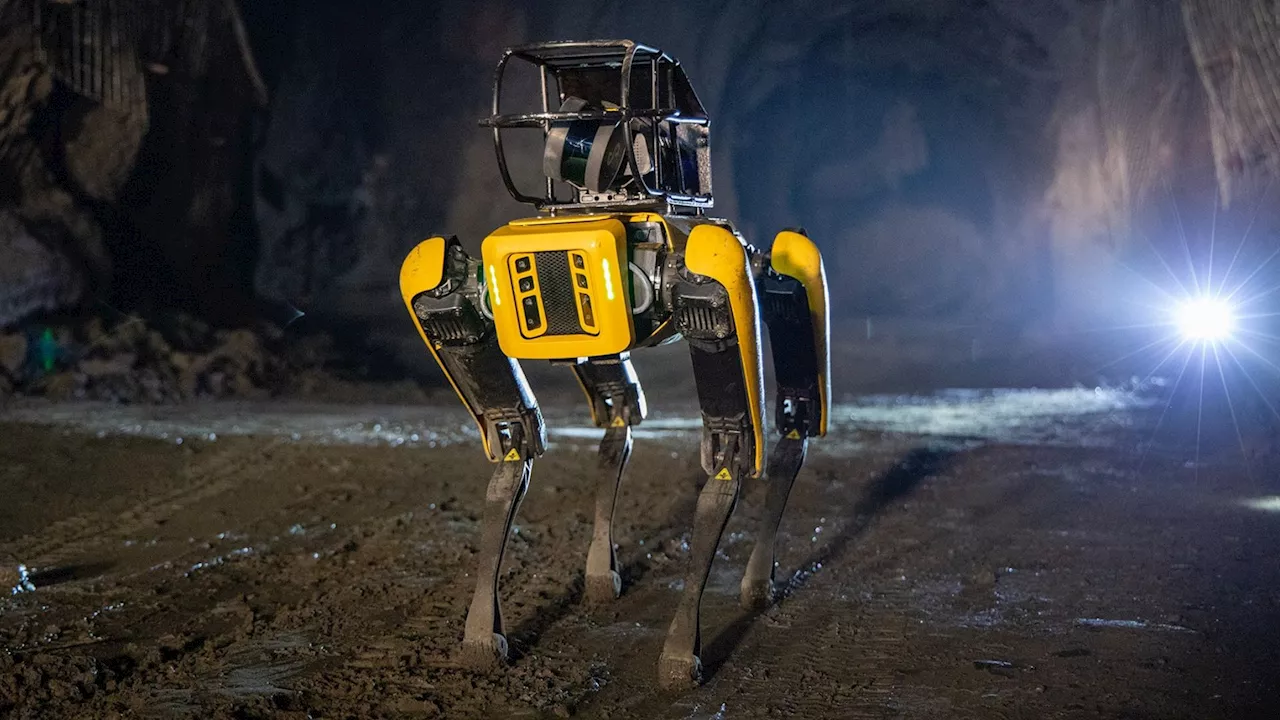 The heat is on: New robot dog torches weeds with precision