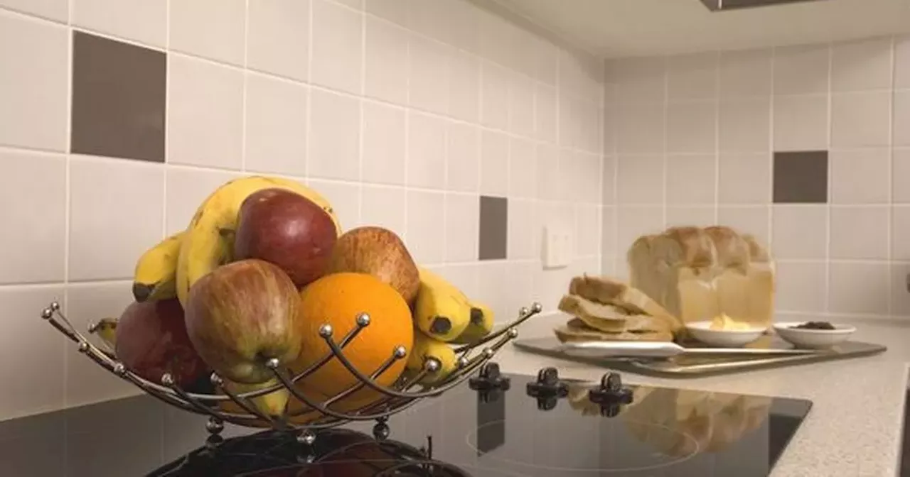 The unexpected place to store bread so it stays fresh for two weeks longer