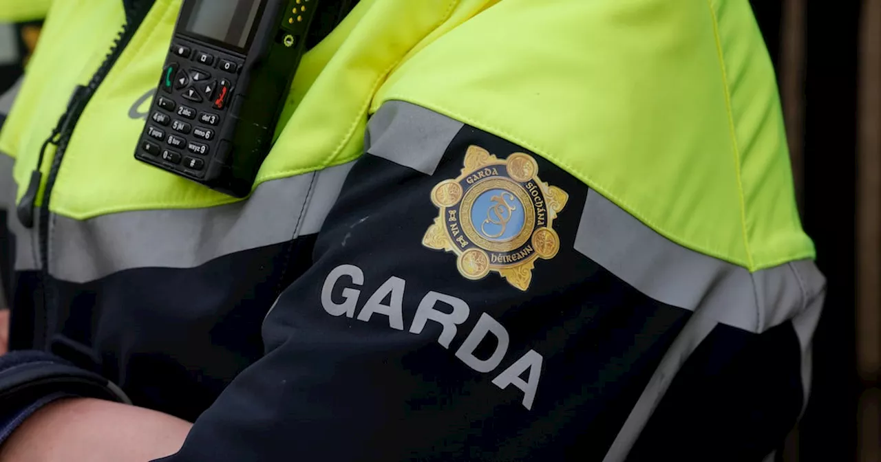 Gardaí investigate robbery of French students and stabbing of teacher in Cork city centre