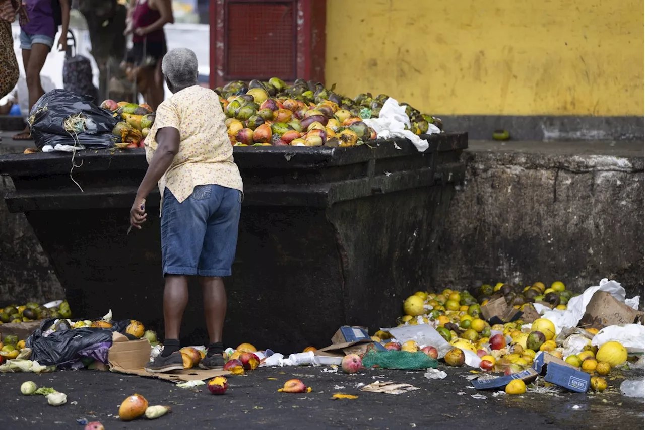 Transferência de renda não é suficiente para acabar com a fome. Especialistas dizem o que falta