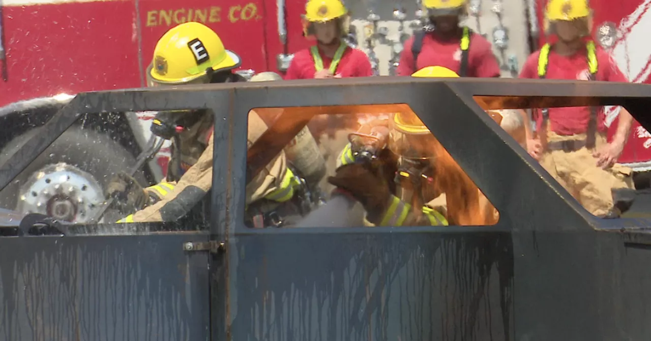 Golder Ranch Fire recruits get first hands on training