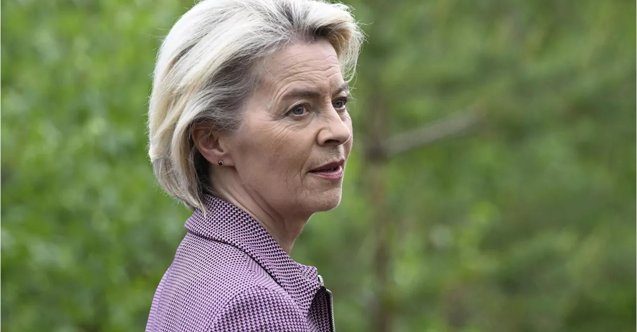 ‘Waarom onze formateurs maar beter luisteren naar wat Ursula von der Leyen over de klimaatdoelstellingen zegt’