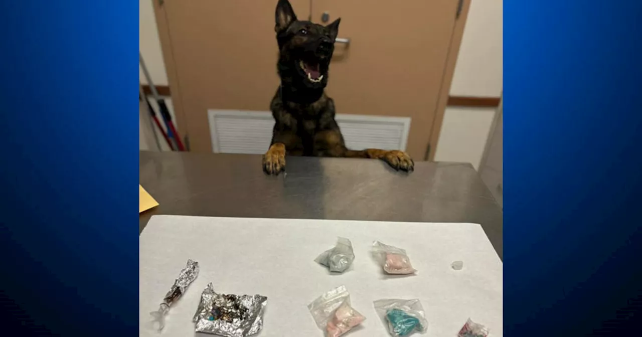 2 arrested after Livermore police dog finds fentanyl, meth in broken down vehicle