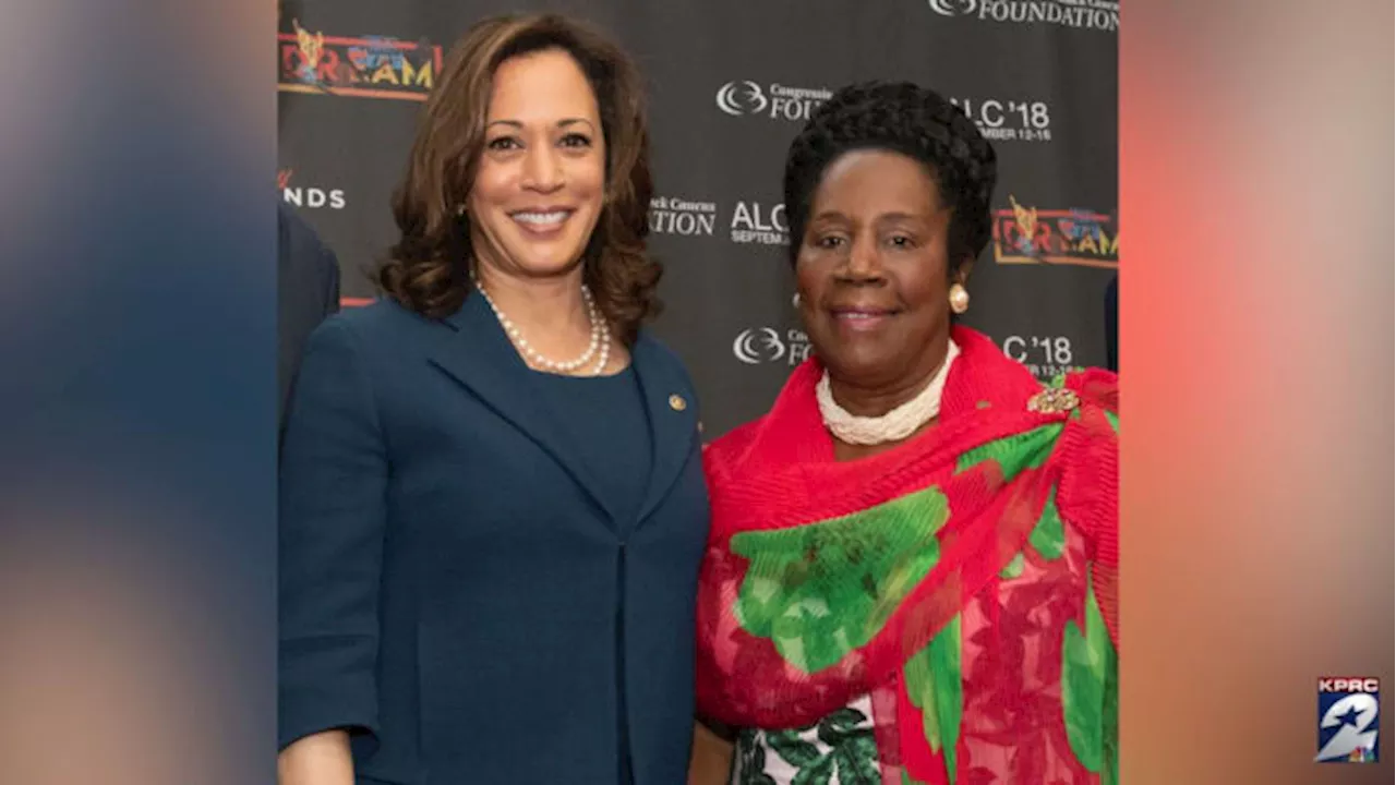 Alpha Kappa Alpha members talk about profound week after passing of Rep. Sheila Jackson Lee, Kamala Harris’ endorsement