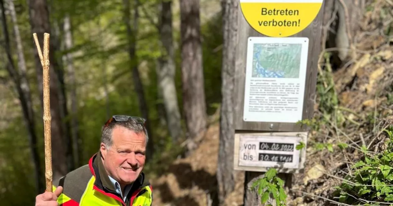 Sperrgebiet ignoriert: Wanderer im Waldbrandgebiet auf Rax in Bergnot