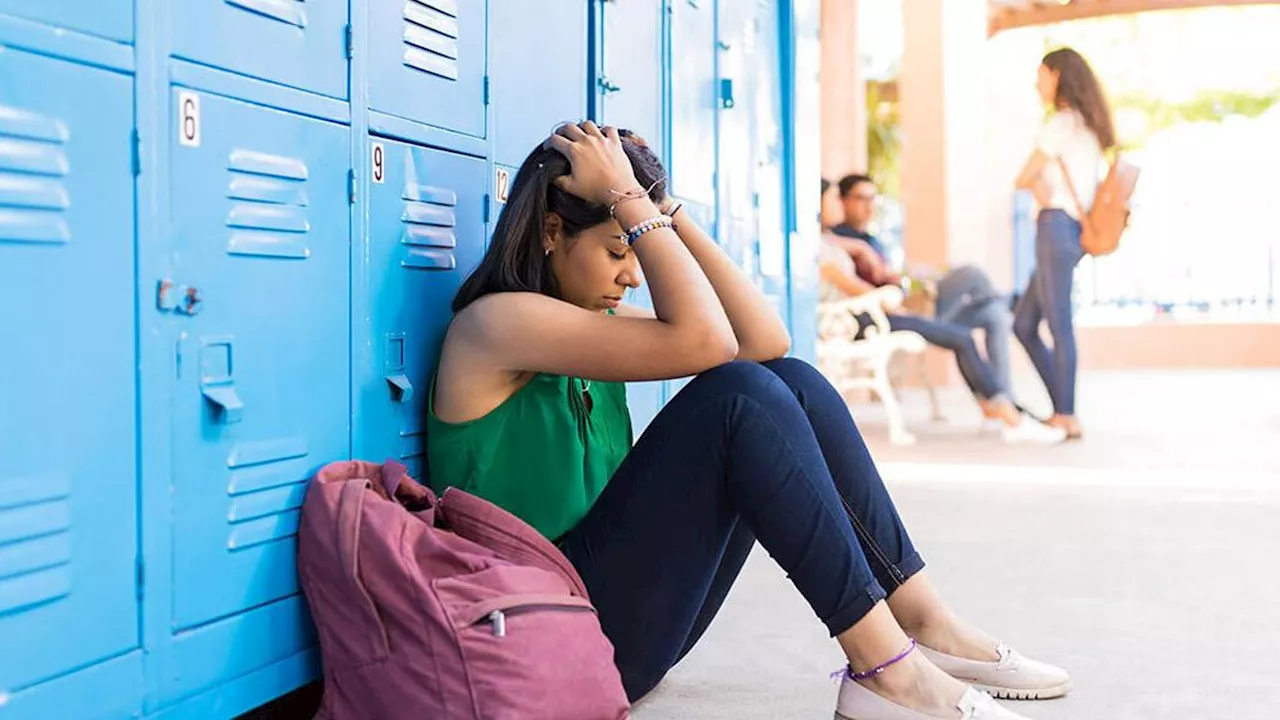 “Sei brutta e grassa”, 12enne bullizzata da un compagno ora sarà risarcita dalla scuola