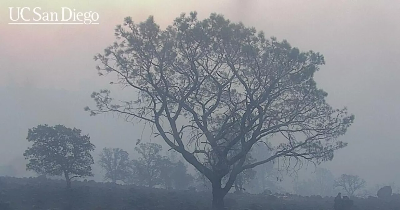 Fast-moving Park fire explodes in Butte County, forcing overnight evacuations