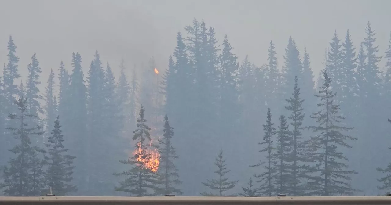 Canada : une partie de la ville de Jasper détruite par les flammes