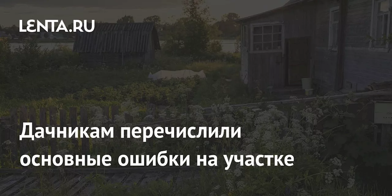 Дачникам перечислили основные ошибки на участке