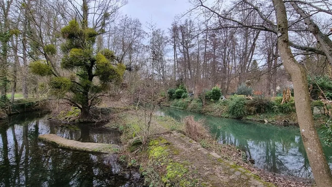 L'île Panchout, un oasis de biodiversité au coeur du centre-ville de Yerres