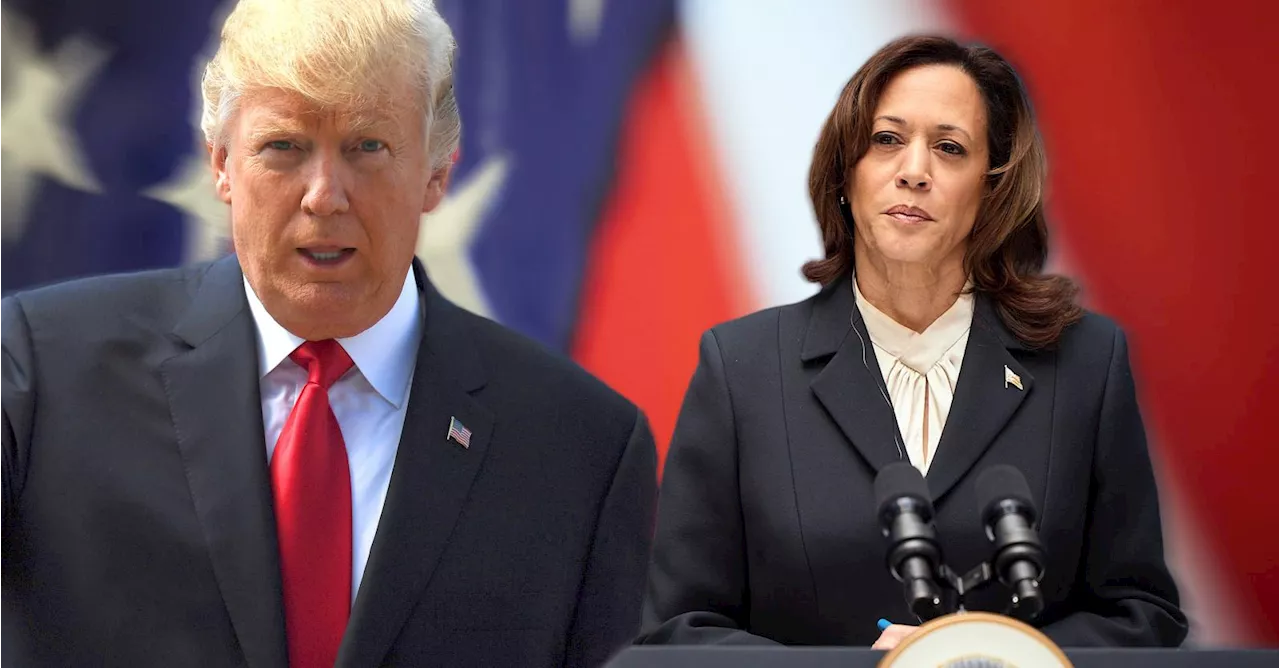 Trump lâche ses coups contre Kamala Harris: « Une cinglée de la gauche radicale »