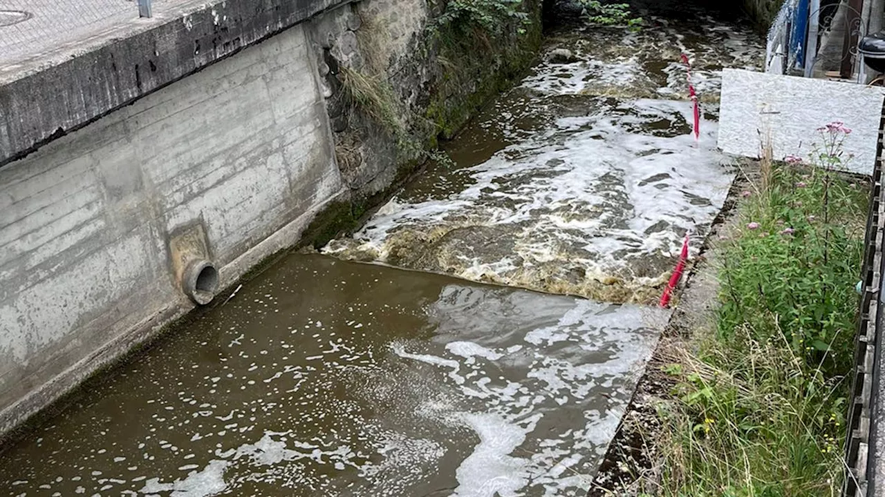 Gewässerverschmutzung durch Gülle aus Biogasanlage in Ruswil – Fischsterben in Bielbach und Kleiner Emme