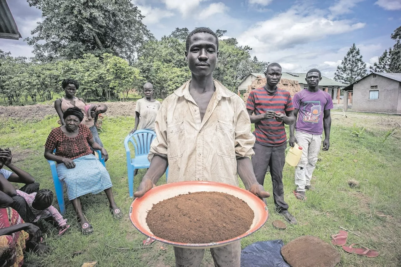 Brewing change: How climate change is reshaping the coffee value chain in Uganda