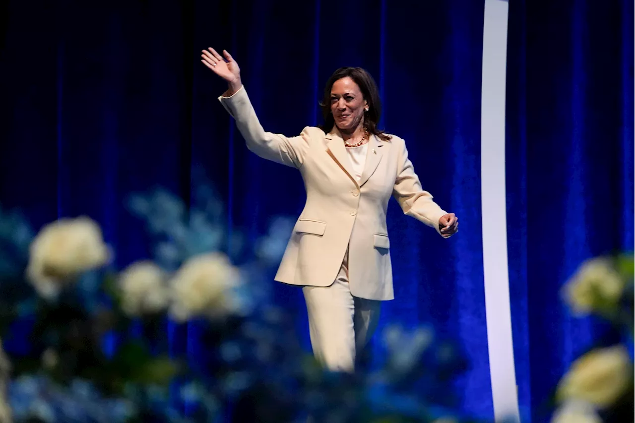 Democrats poised to virtually nominate Harris — and her running mate — by Aug. 7