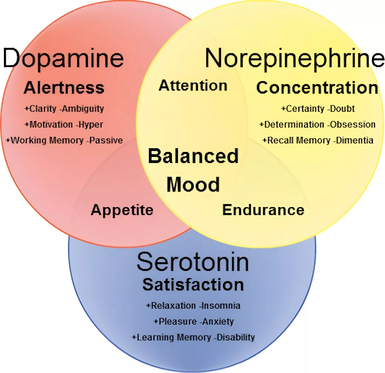 ADHD is highly treatable—a primary care nurse practitioner with ADHD explains the science