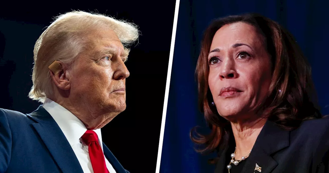 Trump says Harris shouldn’t be ‘allowed to run,’ recycling weird claim