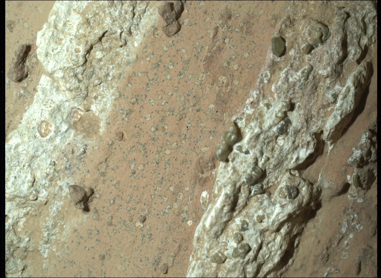 NASA’s Perseverance Rover Scientists Find Intriguing Mars Rock