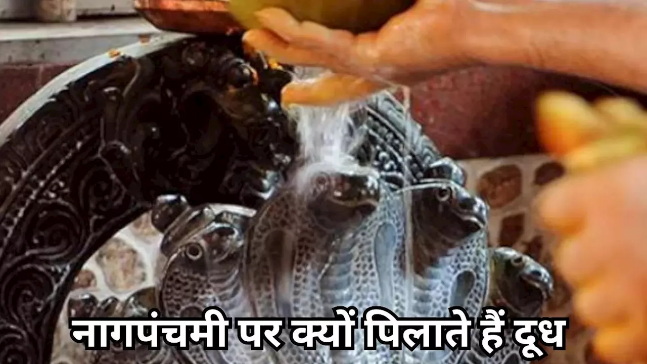 Nag Panchami 2024 : नाग को दूध और लावा क्यों चढ़ता है, जानें नागपंचमी पूजा का रहस्य