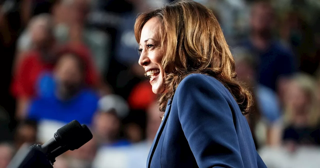 A Kamala Harris meme imagines fake but funny campaign promises