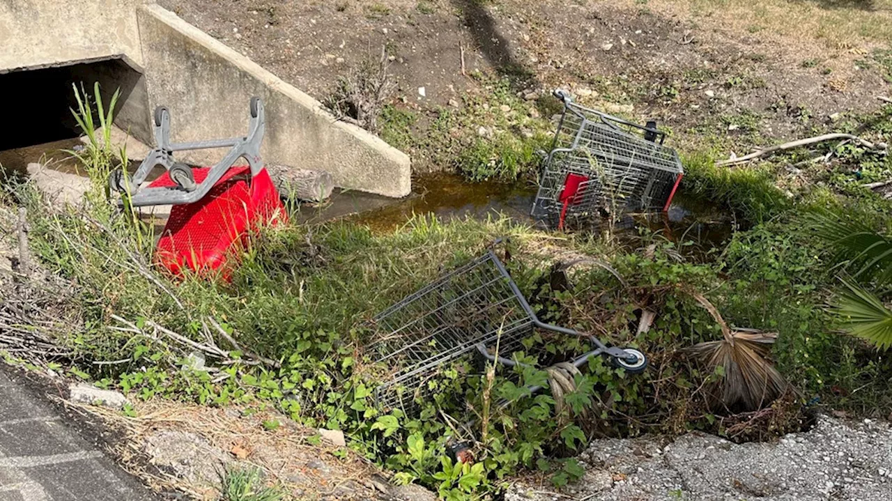 Abandoned shopping carts litter San Antonio streets, hundreds end up in landfills