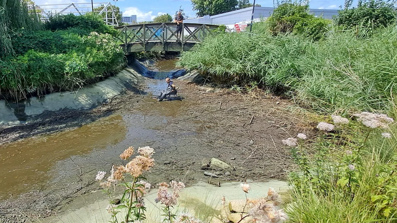 Drohne, Verkehrsschilder und Gartensessel aus Teich gefischt