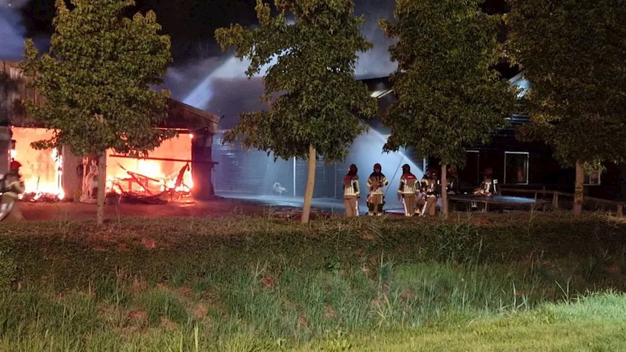 Meerdere paarden omgekomen door stalbrand bij manege in Zeewolde