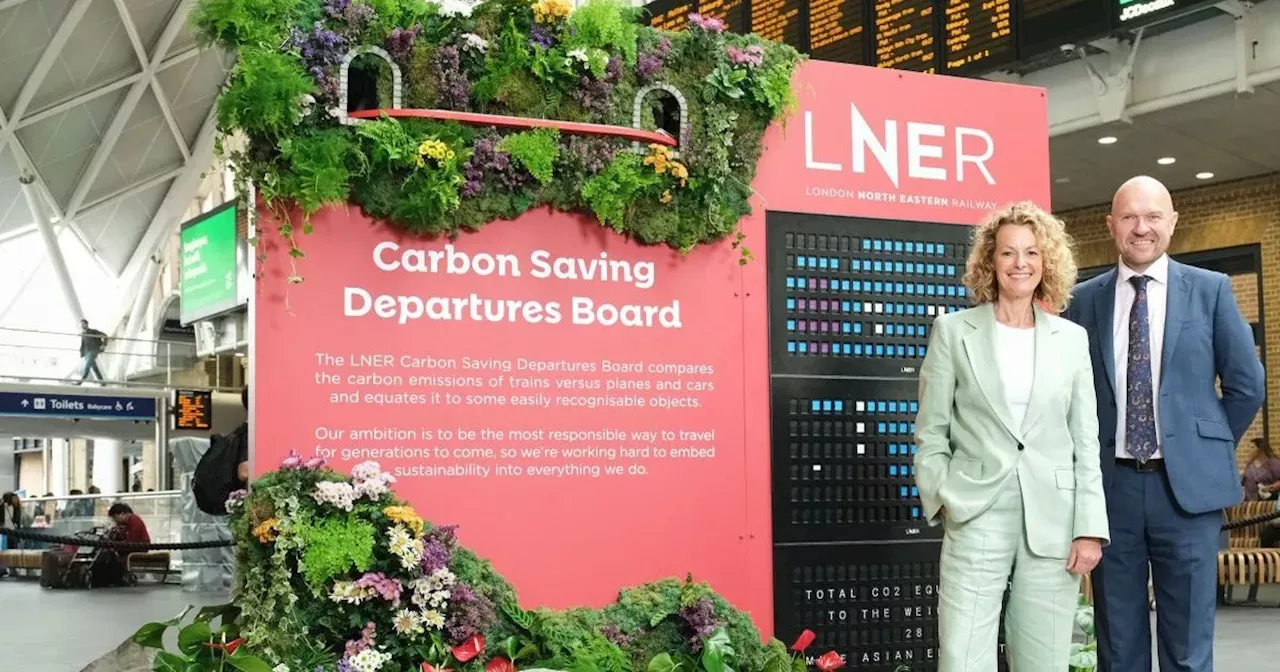Carbon confusion leaves Brits baffled as they can't explain 'carbon footprint'