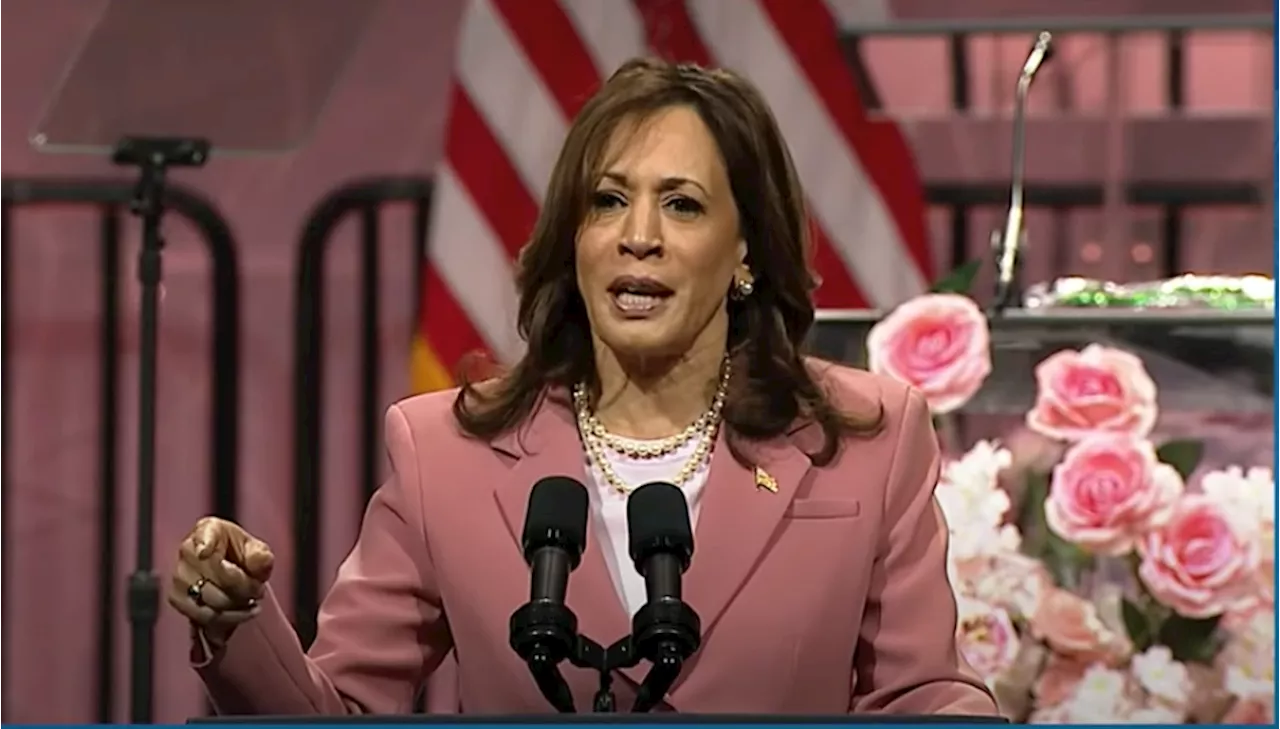 Black Greeks, task forces, mobilize en masse for Kamala